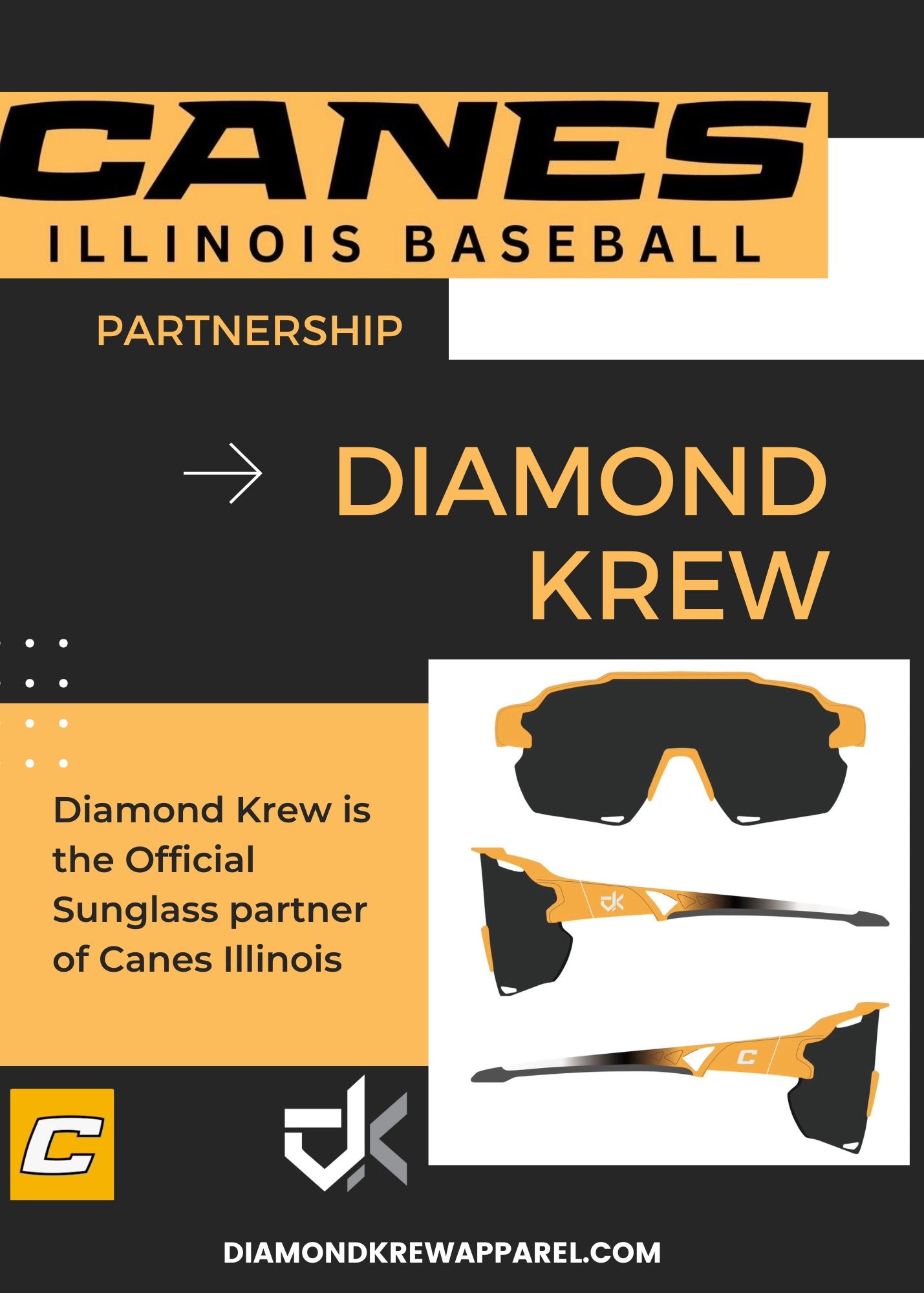 Canes Illinois Sunglasses