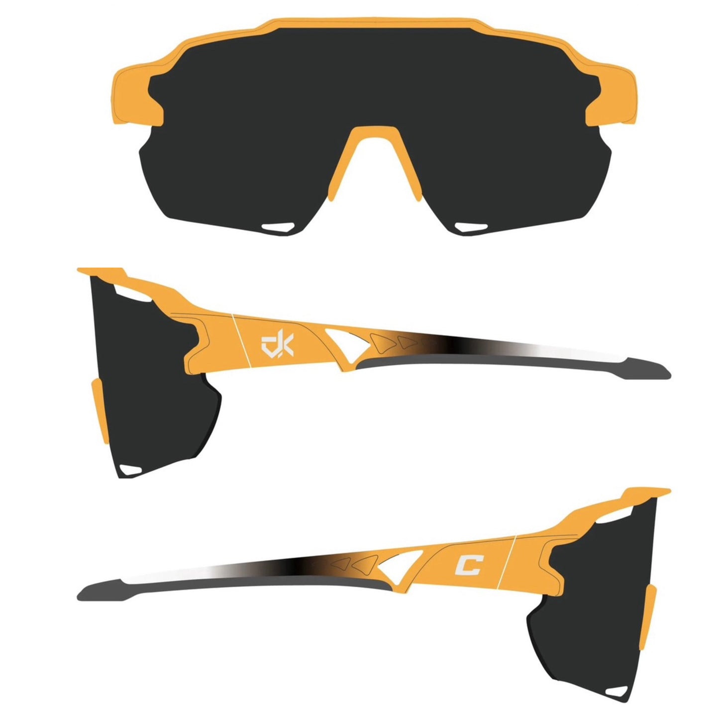 Canes Illinois Sunglasses